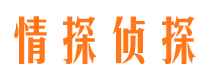 磐安市调查公司